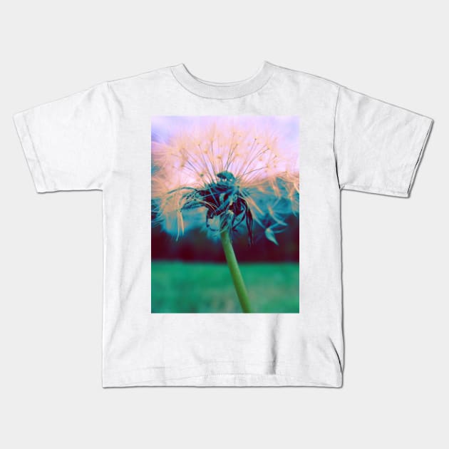 Dandelion Kids T-Shirt by saradaboru